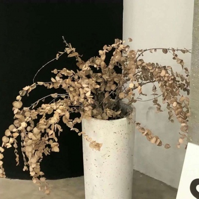 兽设冰川场景创作兽圈社群